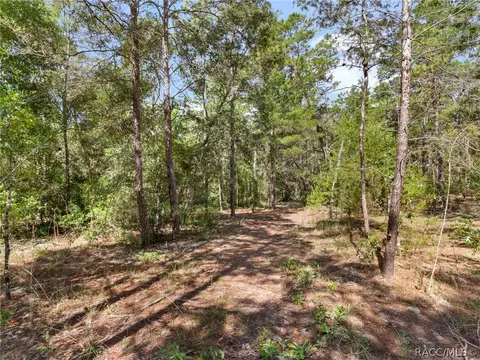 1441 Evelyn St, Hernando, FL 34442 photo 50