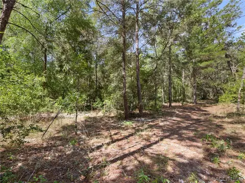 1441 Evelyn St, Hernando, FL 34442 photo 51