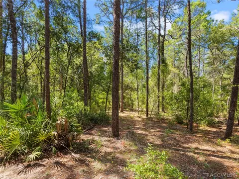 1441 Evelyn St, Hernando, FL 34442 photo 7