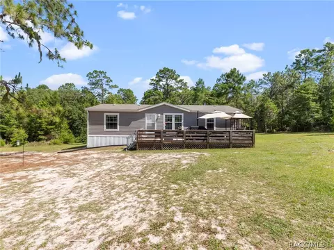 1441 Evelyn St, Hernando, FL 34442 photo 38