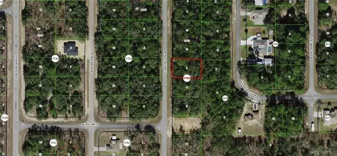 6335 N Darlington Dr, Citrus Springs, FL 34434