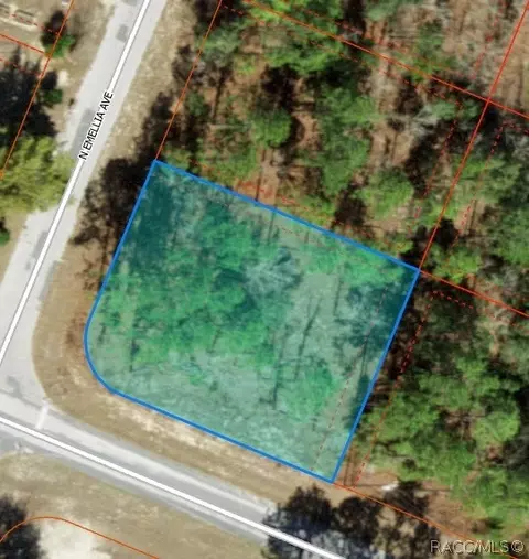 9731 N Emellia Ave, Citrus Springs, FL 34433
