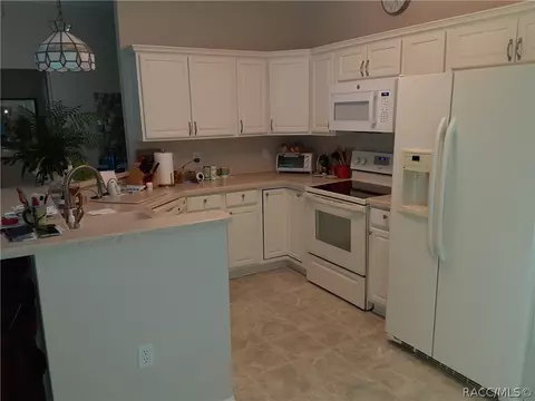 755 W Toucan Loop, Hernando, FL 34442 photo 9