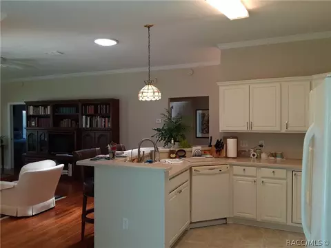 755 W Toucan Loop, Hernando, FL 34442 photo 10