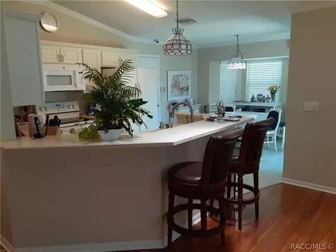 755 W Toucan Loop, Hernando, FL 34442 photo 8