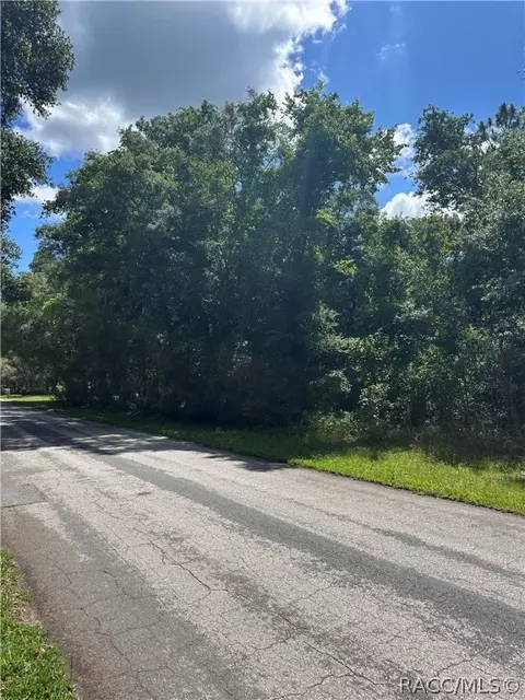 4380 N Indianhead Rd, Hernando, FL 34442 photo 5