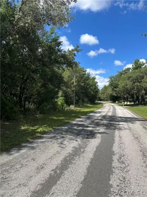 4380 N Indianhead Rd, Hernando, FL 34442 photo 4