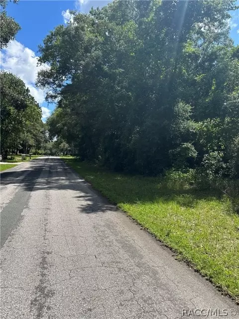 4380 N Indianhead Rd, Hernando, FL 34442 photo 3