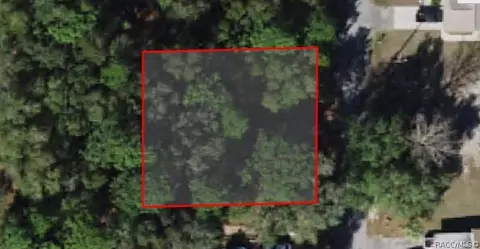 8592 N Discalfani Loop, Crystal River, FL 34428