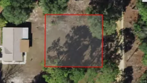 8607 N Discalfani Loop, Crystal River, FL 34428