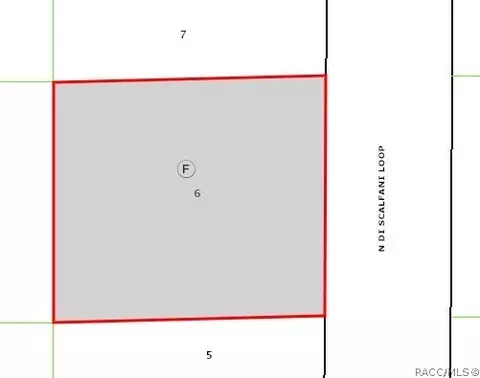 8636 N Discalfani Loop, Crystal River, FL 34428 photo 4