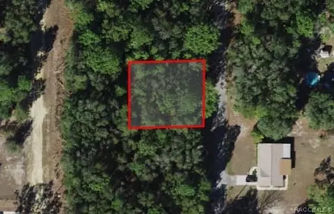 8636 N Discalfani Loop, Crystal River, FL 34428 photo 3
