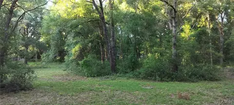 5603 N Park Ridge Way, Hernando, FL 34442 photo 15
