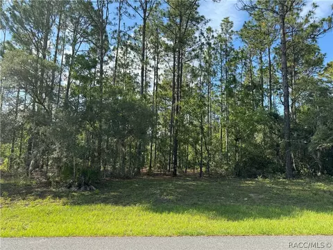 5070 W Pinto Loop, Beverly Hills, FL 34465