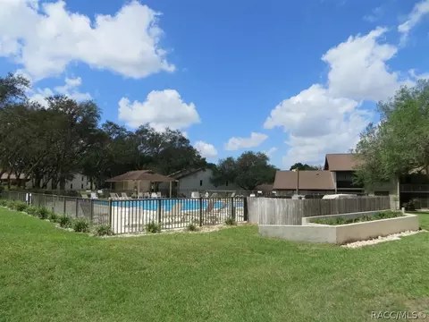 340 E Glassboro Ct, Hernando, FL 34442 photo 38