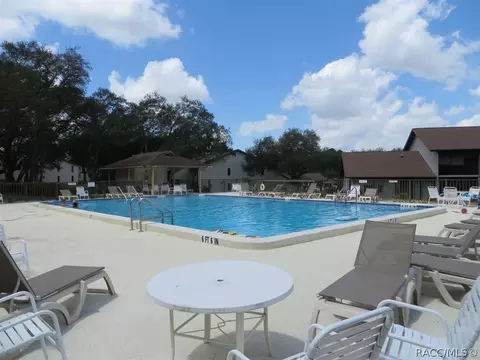 340 E Glassboro Ct, Hernando, FL 34442 photo 40