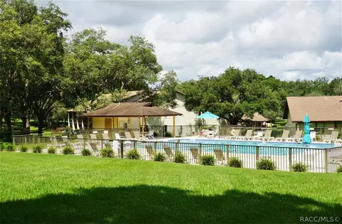 340 E Glassboro Ct, Hernando, FL 34442 photo 37