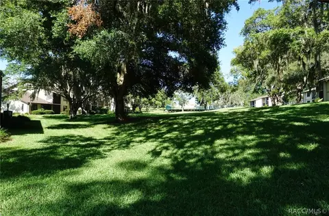 340 E Glassboro Ct, Hernando, FL 34442 photo 33