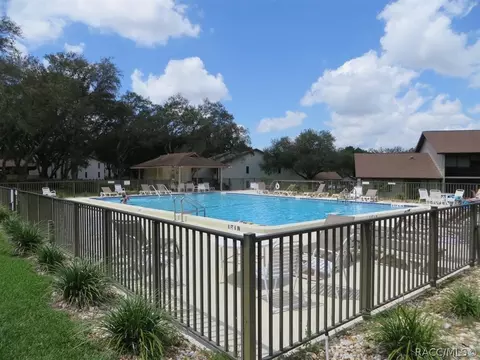 340 E Glassboro Ct, Hernando, FL 34442 photo 39