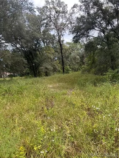 3219 E Marcia St, Inverness, FL 34453