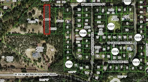 796 W Lightwood St, Dunnellon, FL 34434