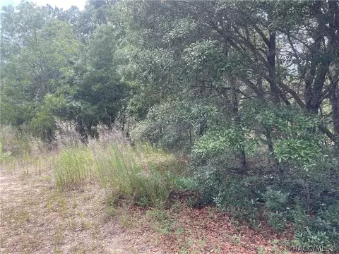 2061 W Pinegrove Dr, Dunnellon, FL 34434