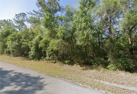 8806 N Alameda Dr, Citrus Springs, FL 34434