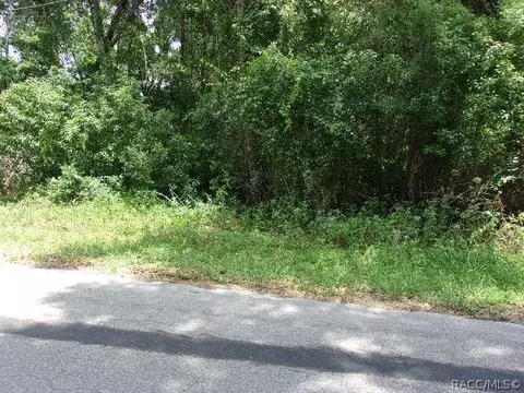 4979 S Romans Ave, Inverness, FL 34452