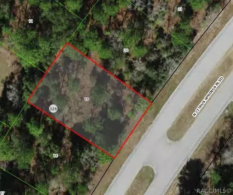 9170 N Citrus Springs Blvd, Citrus Springs, FL 34433