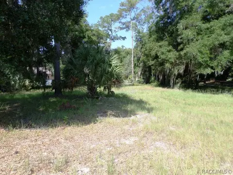 00 Blue Heron Ct, Dunnellon, FL 34432