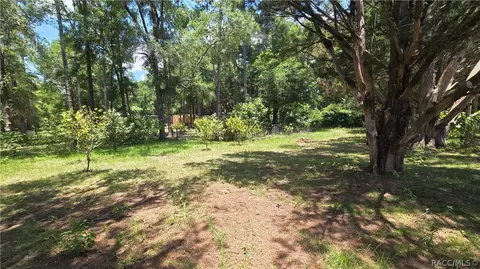 4361 N Desertsand Ter, Hernando, FL 34442 photo 26