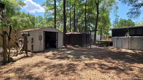 4361 N Desertsand Ter, Hernando, FL 34442 photo 9