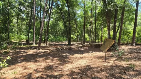 4361 N Desertsand Ter, Hernando, FL 34442 photo 28
