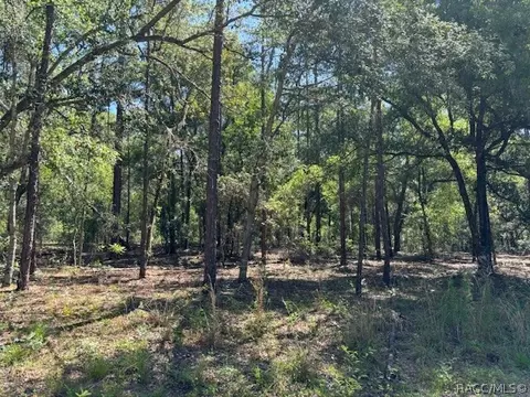 8587 N Spikes Way, Dunnellon, FL 34434