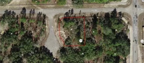 6897 N Lime Dr, Citrus Springs, FL 34433