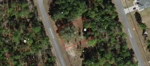 7197 N Henderson Way, Citrus Springs, FL 34434