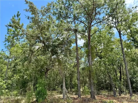 798 W Pearson St, Hernando, FL 34442 photo 8