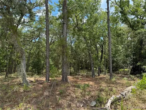 798 W Pearson St, Hernando, FL 34442 photo 7