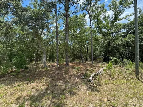 798 W Pearson St, Hernando, FL 34442 photo 9