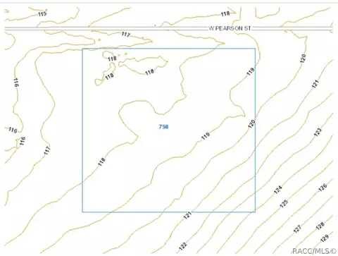 798 W Pearson St, Hernando, FL 34442 photo 2