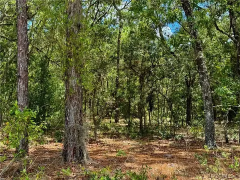 798 W Pearson St, Hernando, FL 34442 photo 6