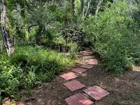 901 E Morningstar Ln, Hernando, FL 34442 photo 68