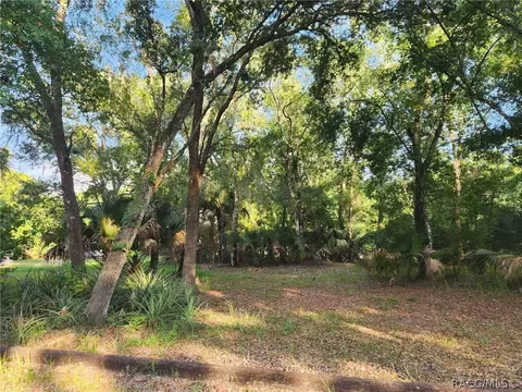 12248 E Walton Dr, Floral City, FL 34436