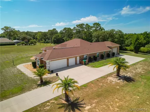 View/Area - 1229 E Triple Crown Loop, Hernando, FL 34442 photo 3 of 11