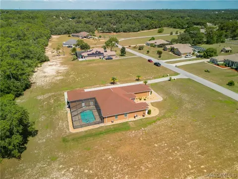 View/Area - 1229 E Triple Crown Loop, Hernando, FL 34442 photo 7 of 11