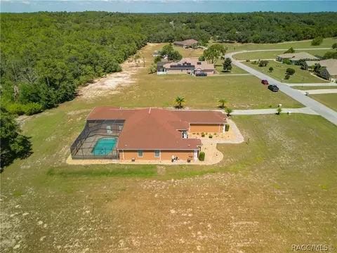 View/Area - 1229 E Triple Crown Loop, Hernando, FL 34442 photo 8 of 11