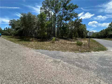 5958 N Matheson Dr, Citrus Springs, FL 34434