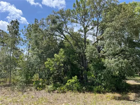 2292 E Newhaven St, Inverness, FL 34453