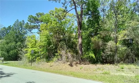 1275 W Union St, Hernando, FL 34442 photo 2