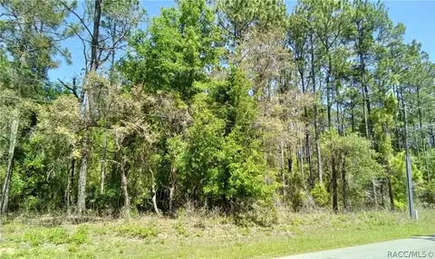 1275 W Union St, Hernando, FL 34442 photo 3